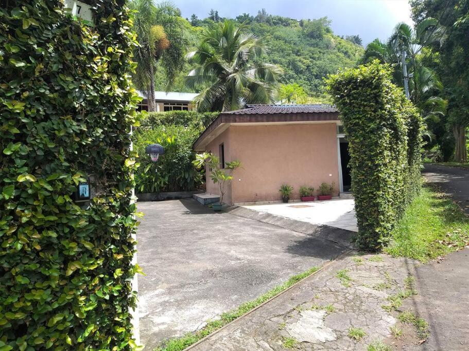 Vacation House In Tahiti Punaauia  Bagian luar foto